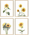 HAUS AND HUES Sunflower Wall Art Set of 4 by HausandHuesArtPrints