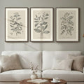 Framed Vintage Botanical Wall Art, 3 Piece Neutral Floral Plants Canvas by Cuspin