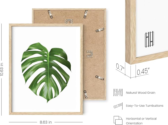 Plant Photo Set of 4-8x10 Framed Beige - Image 3
