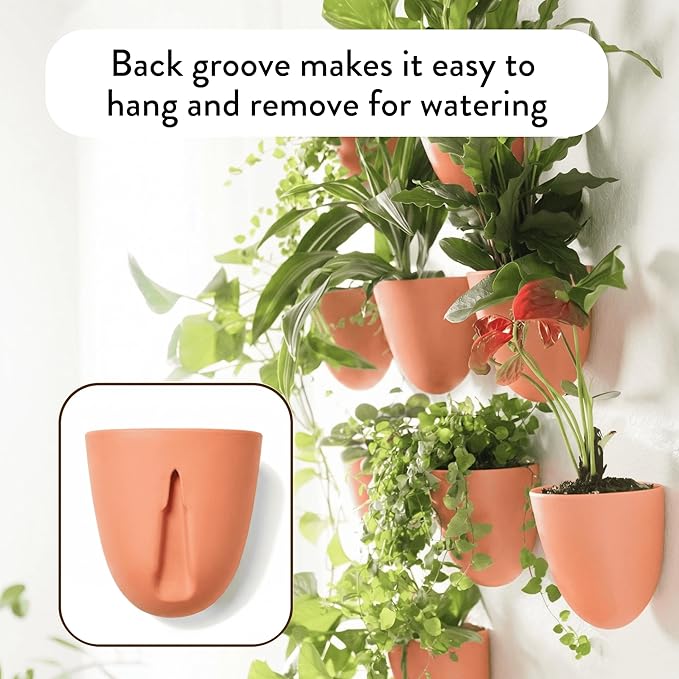 Make Good PlantPod Luxe Self-Watering Wall Planters - Image 4