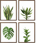HAUS AND HUES Plant Photo Set of 4-16x20 Framed Walnut by HausandHuesArtPrints