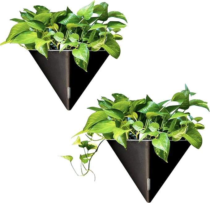 LaLaGreen Wall Planters for Indoor Plants by L%C3%A1L%C3%A1Green