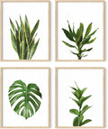 Plant Photo Set of 4-8x10 Framed Beige by HausandHuesArtPrints