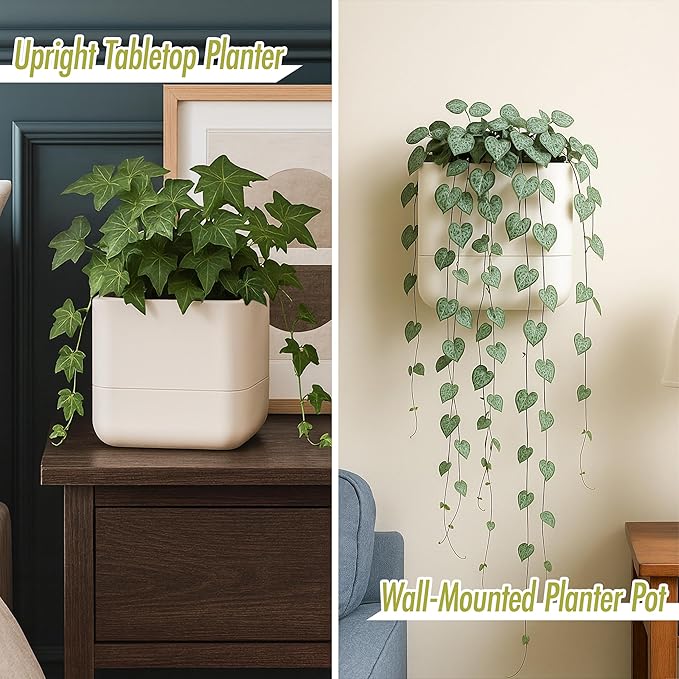 Phoenix Vine 6.5 Inch Wall Mounted Self-Watering Planter Pot - Image 2