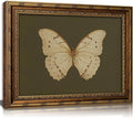 Vintage Gold Framed Wall Art Retro White Butterfly Canvas Print Dark Green by DQUCWDKVintagegoldframedwallart