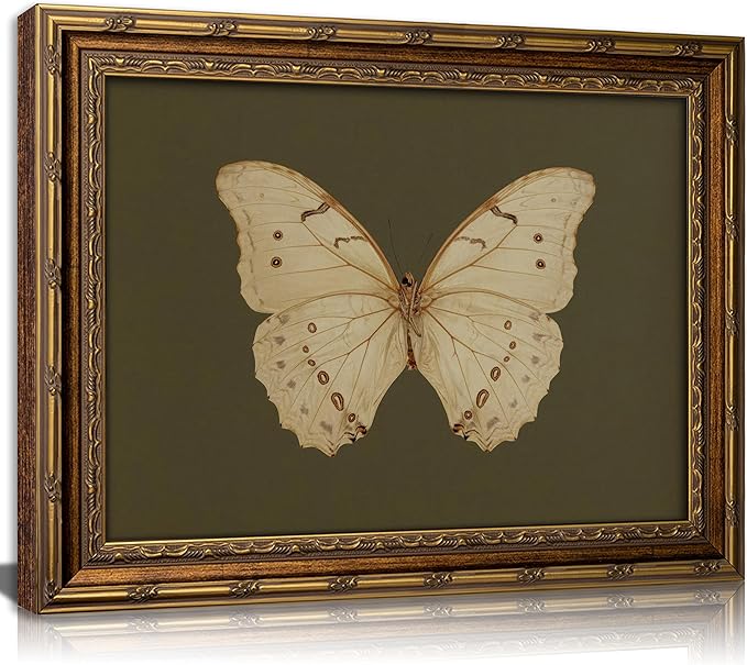 Vintage Gold Framed Wall Art Retro White Butterfly Canvas Print Dark Green by DQUCWDKVintagegoldframedwallart