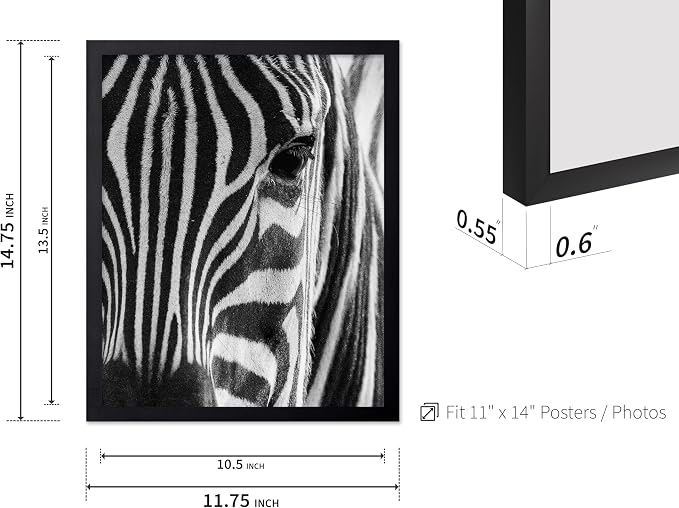 Poster Master Photograph Poster - Image 3