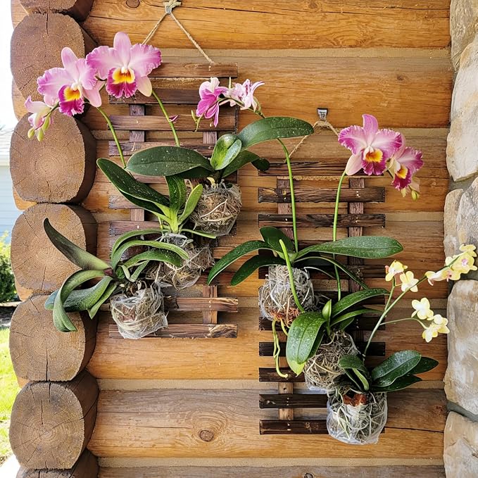 Mulctun 2 Pcs Wall Planters - Image 4