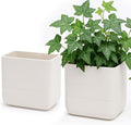 Phoenix Vine 6.5 Inch Wall Mounted Self-Watering Planter Pot by Phoenix+Vine