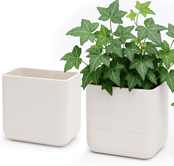 Phoenix Vine 6.5 Inch Wall Mounted Self-Watering Planter Pot by Phoenix+Vine