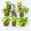 LaLaGreen Wood Planter Boxes for Plants Small Square Wall Mounted Planters for by L%C3%A1L%C3%A1Green