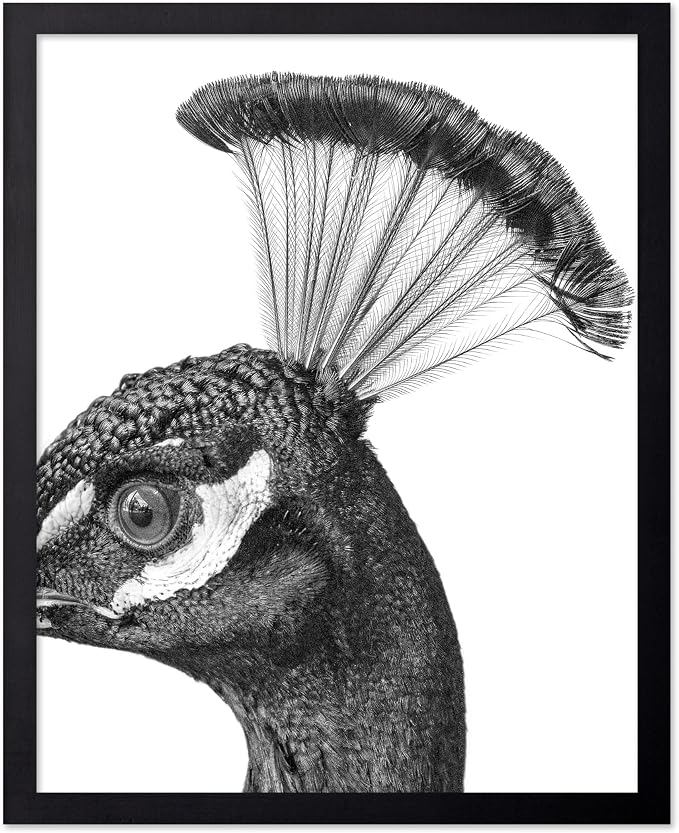 Poster Master Vintage Peacock Poster by PosterMaster