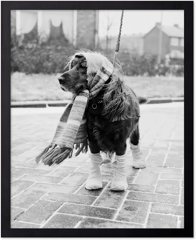 Poster Master Dog Dressed for Winter Print by PosterMaster