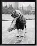 Poster Master Dog Dressed for Winter Print by PosterMaster