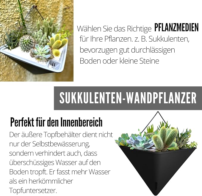 LaLaGreen Wall Planters for Indoor Plants - Image 5