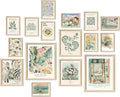 ANERZA 16 PCS Framed Sage Green Wall Art Decor, Matisse Wall Prints by ANERZA