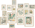 ANERZA 16 PCS Sage Green Wall Art Decor, Matisse Wall Prints by ANERZA