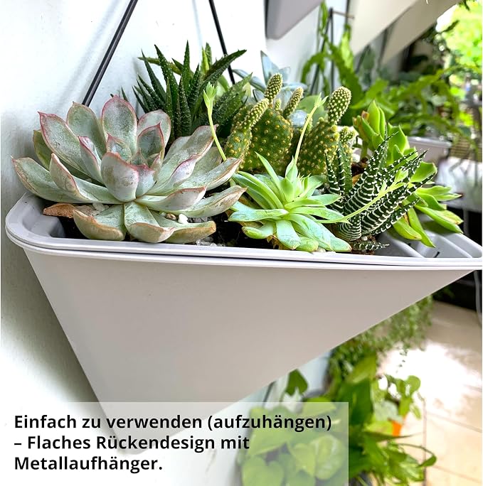 LaLaGreen Wall Planters for Indoor Plants - Image 6