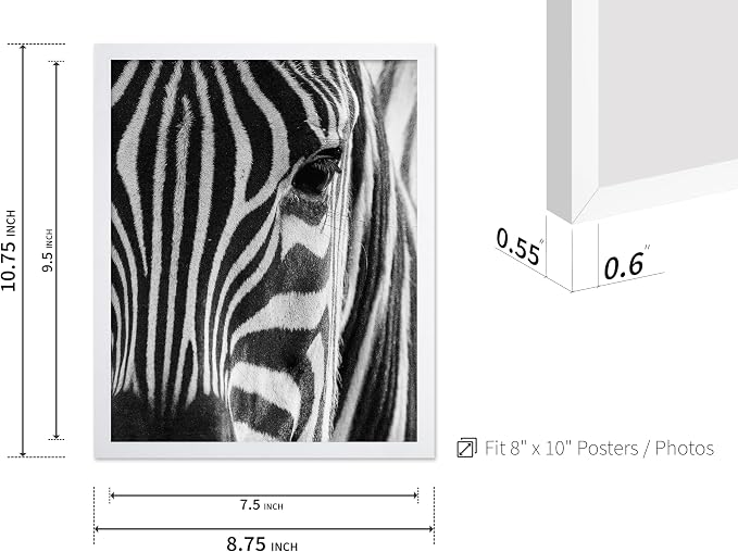 Poster Master Photograph Poster - Image 3
