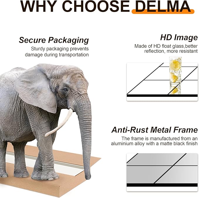 Delma Full Length Mirror, Wall Mounted, Hanging or Leaning - Image 3