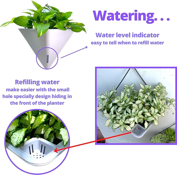 LaLaGreen Wall Planters - Image 4