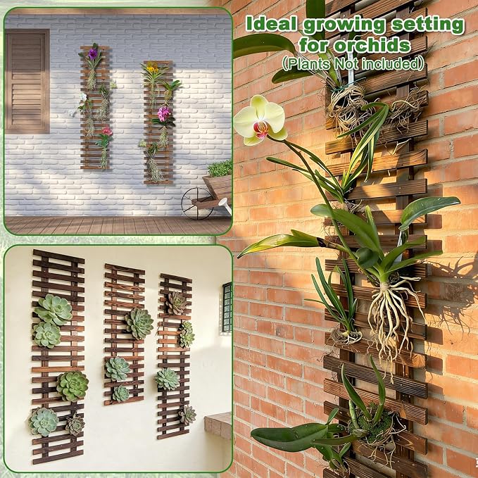 Mulctun Wall Planters - Image 4
