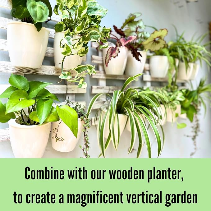 LáLáGreen Wall Planters for Indoor Plants - Image 5