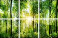 YPY Sound Proofing Panels for Walls Morning sunrise forest green trees: 6 Pack by YPY