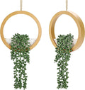 Der Rose 2 Pack Boho Wall Decor Fake Plants 15" Hanging Artificial Succulents by DerRose