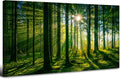Forest Canvas Wall Art Green Mountain Wall Decor Tree Forest Landscape Prints by HOME