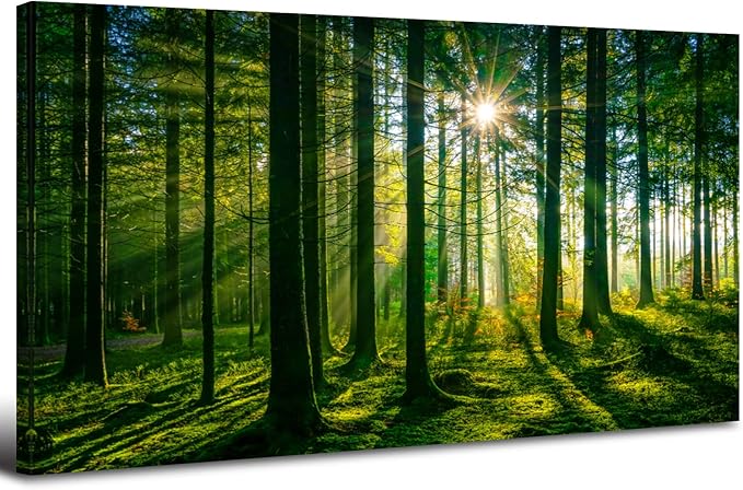 Forest Canvas Wall Art Green Mountain Wall Decor Tree Forest Landscape Prints by HOME