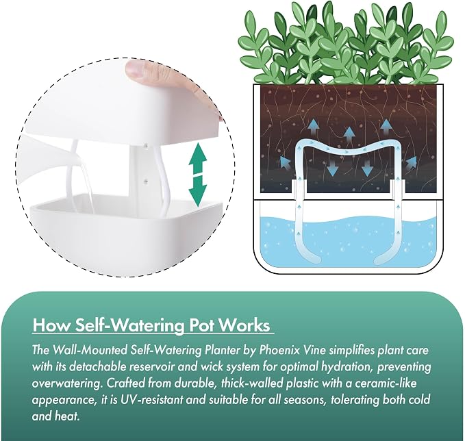 Phoenix Vine 6.5 Inch Wall Mounted Self-Watering Planter Pot - Image 4
