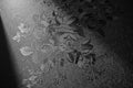 Black Peel and Stick Wallpaper Floral Black Wallpaper 17.7inch x 196.8inch by lenify