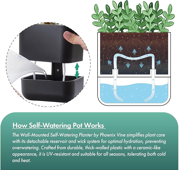 Phoenix Vine 6.5 Inch Wall Mounted Self-Watering Planter Pot - Image 4