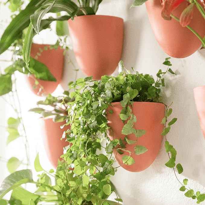 Make Good PlantPod Luxe Self-Watering Wall Planters - Image 6