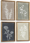 Liswit Framed Boho Wall Art Set of 4 by Liswit