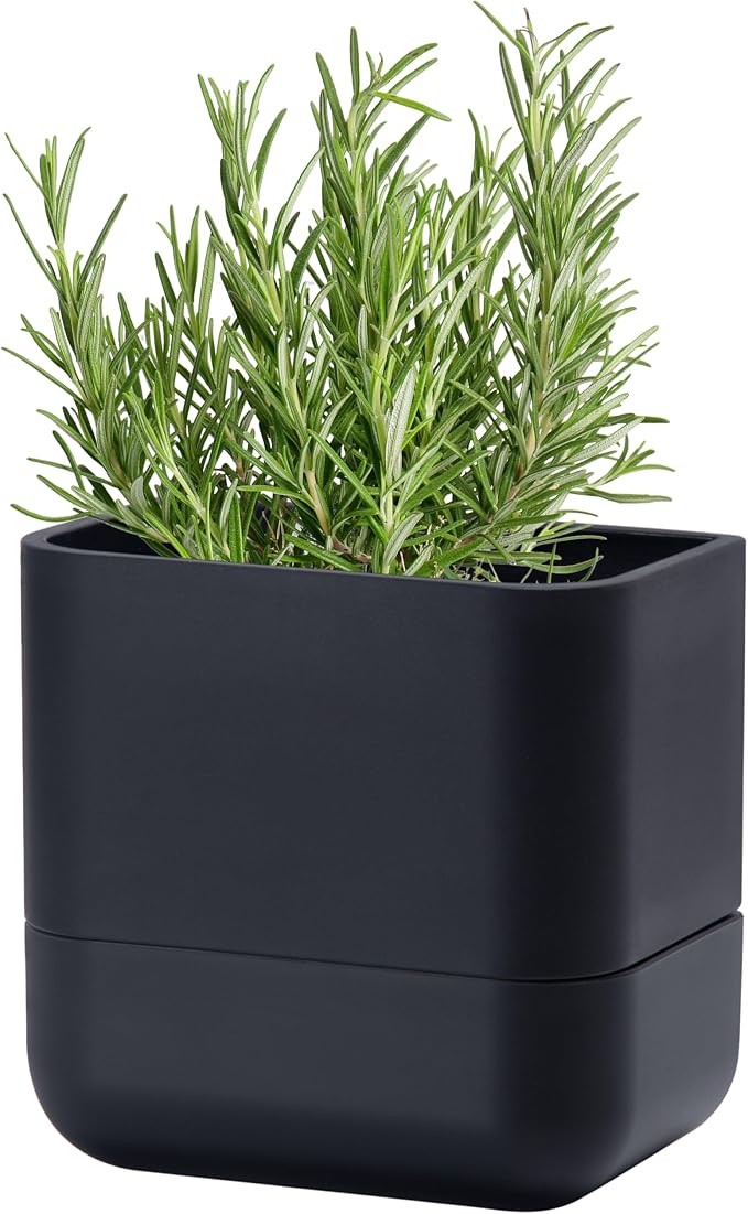Phoenix Vine 6.5 Inch Wall Mounted Self-Watering Planter Pot by Phoenix+Vine