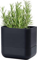Phoenix Vine 6.5 Inch Wall Mounted Self-Watering Planter Pot by Phoenix+Vine