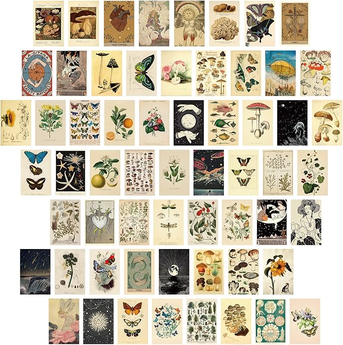 Containlol 60 Pcs Vintage Wall Collage Kit Maximalist Paintings Art Prints by Containlol