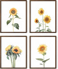 HAUS AND HUES Sunflower Set Collage 16x20 by HausandHuesArtPrints