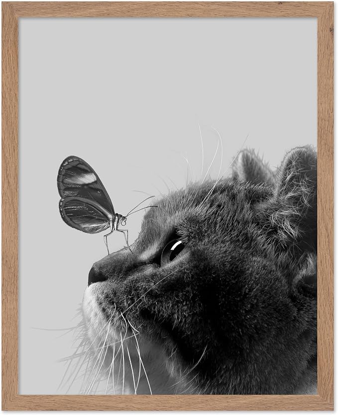 Poster Master Butterfly on Cat Print by PosterMaster