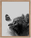 Poster Master Butterfly on Cat Print by PosterMaster