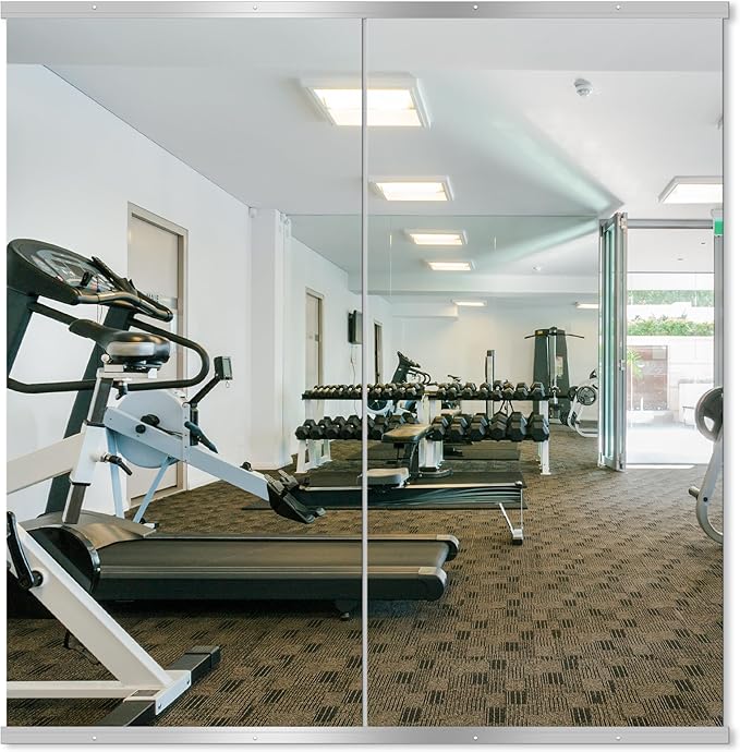 Delma Home Gym Mirror by Delma