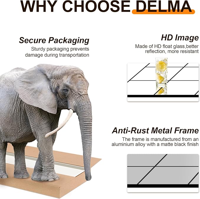 Delma Full Length Mirror, Wall Mounted, Hanging or Leaning - Image 5