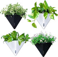 LaLaGreen Wall Planters for Indoor Plants by L%C3%A1L%C3%A1Green