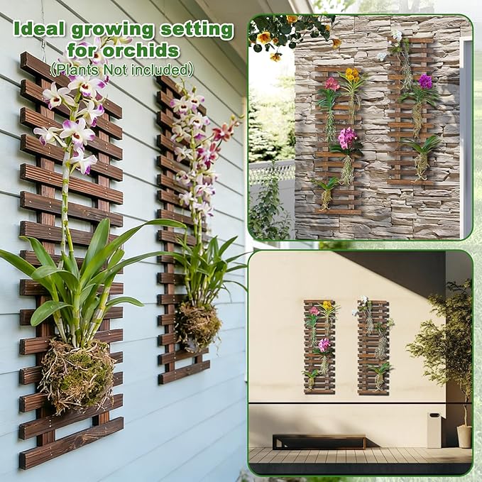 Mulctun 2 Pcs Wall Planters - Image 3
