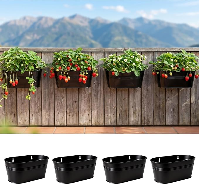 LaLaGreen Wall Planter Black Oval Metal Wall Hanging Decor Plant Holder by L%C3%A1L%C3%A1Green