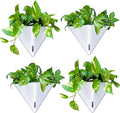 LaLaGreen Wall Planters for Indoor Plants by L%C3%A1L%C3%A1Green
