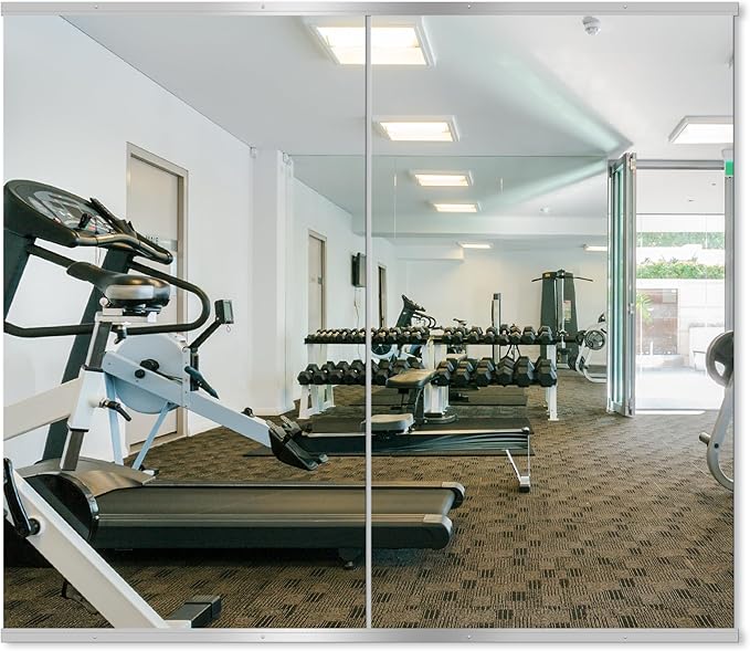 Delma Home Gym Mirror by Delma