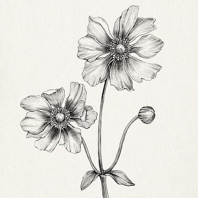 Framed Minimalist Black and White Floral Wall Art, 4 Piece Neutral Rustic - Image 5